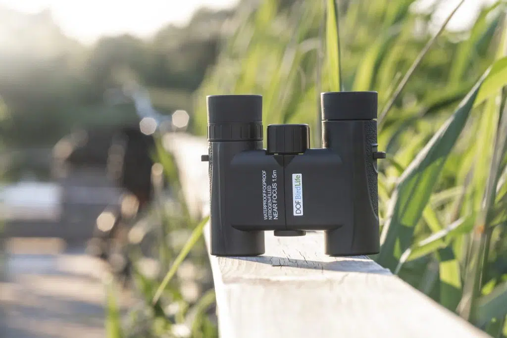 DOF BirdLife Swift 8x25-kikkert placeret på ræling i en rørskov