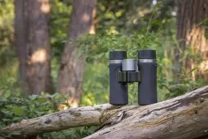 DOF BirdLife Hobby kikkert