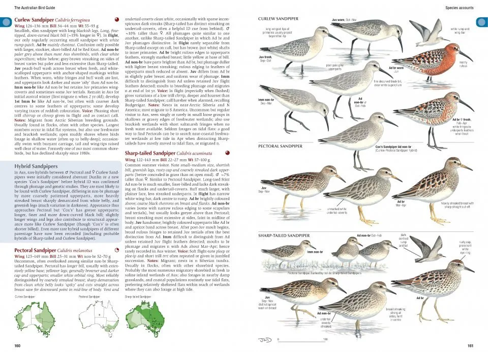 Eksempel 3 på the Australian Bird Guide