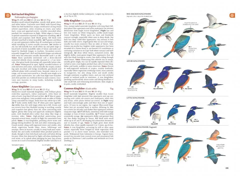 Eksempel 1 på the Australian Bird Guide