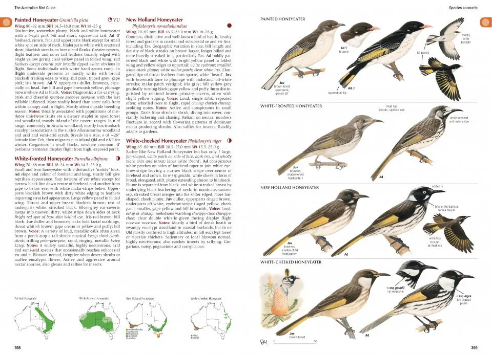 Eksempel 2 på the Australian Bird Guide