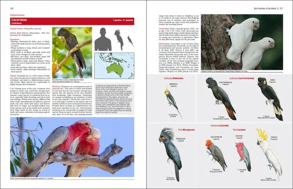 Bird Families of the World