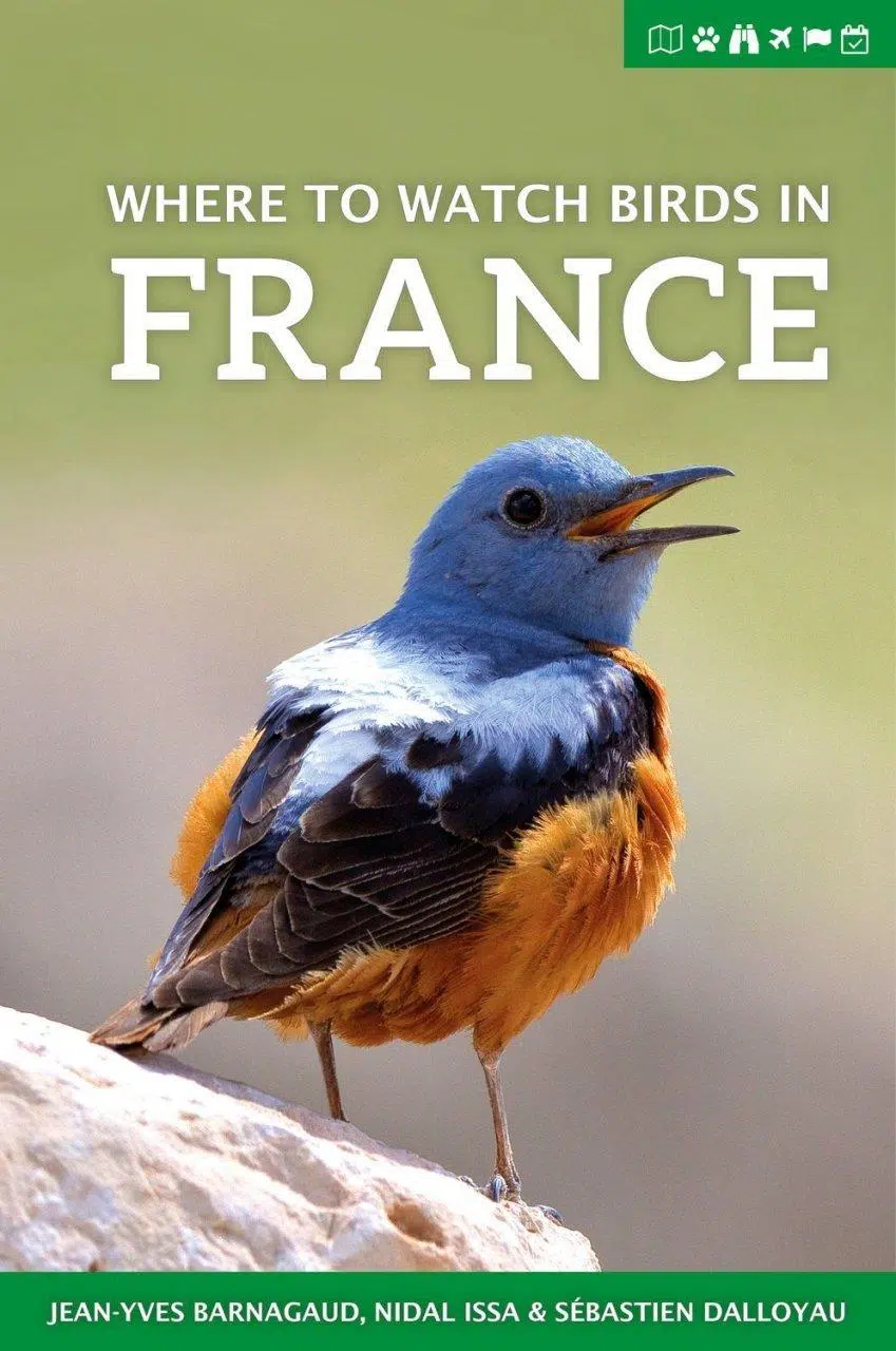 Where to watch birds in France