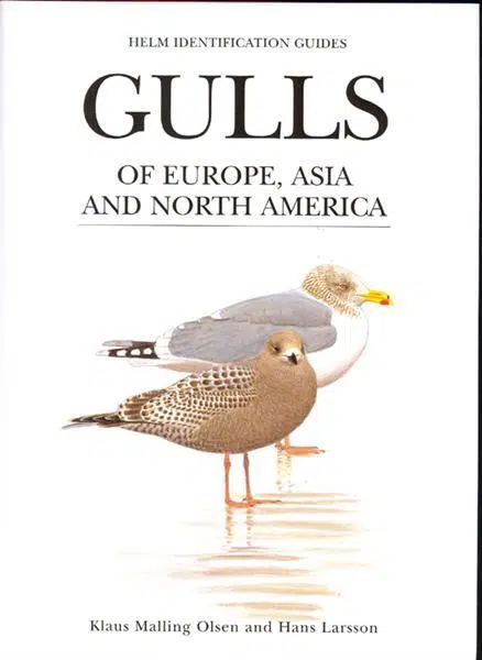 Gulls of Europe, Asia and North America – Klaus Malling Olsen