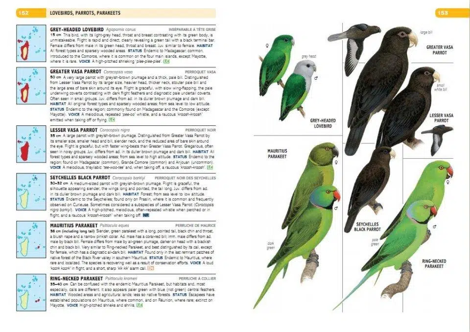 Birds of the Indian ocean Islands: Madagascar, Reunion osv.