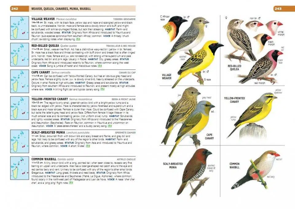 Birds of the Indian ocean Islands: Madagascar, Reunion osv.