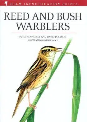 Reed and Bush Warblers