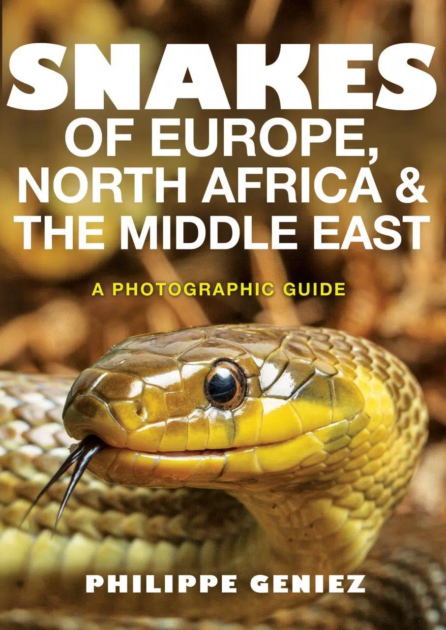 Forside til Snakes of Europe, North Africa and the Middle East