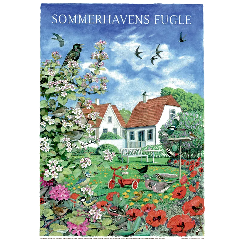 Sommerhavens fugle plakat