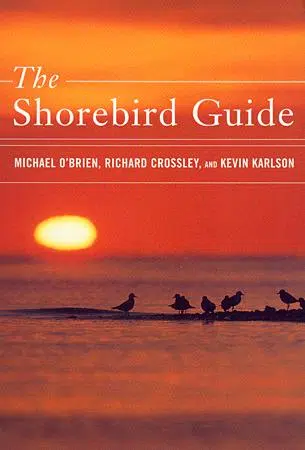 The Shorebird Guide