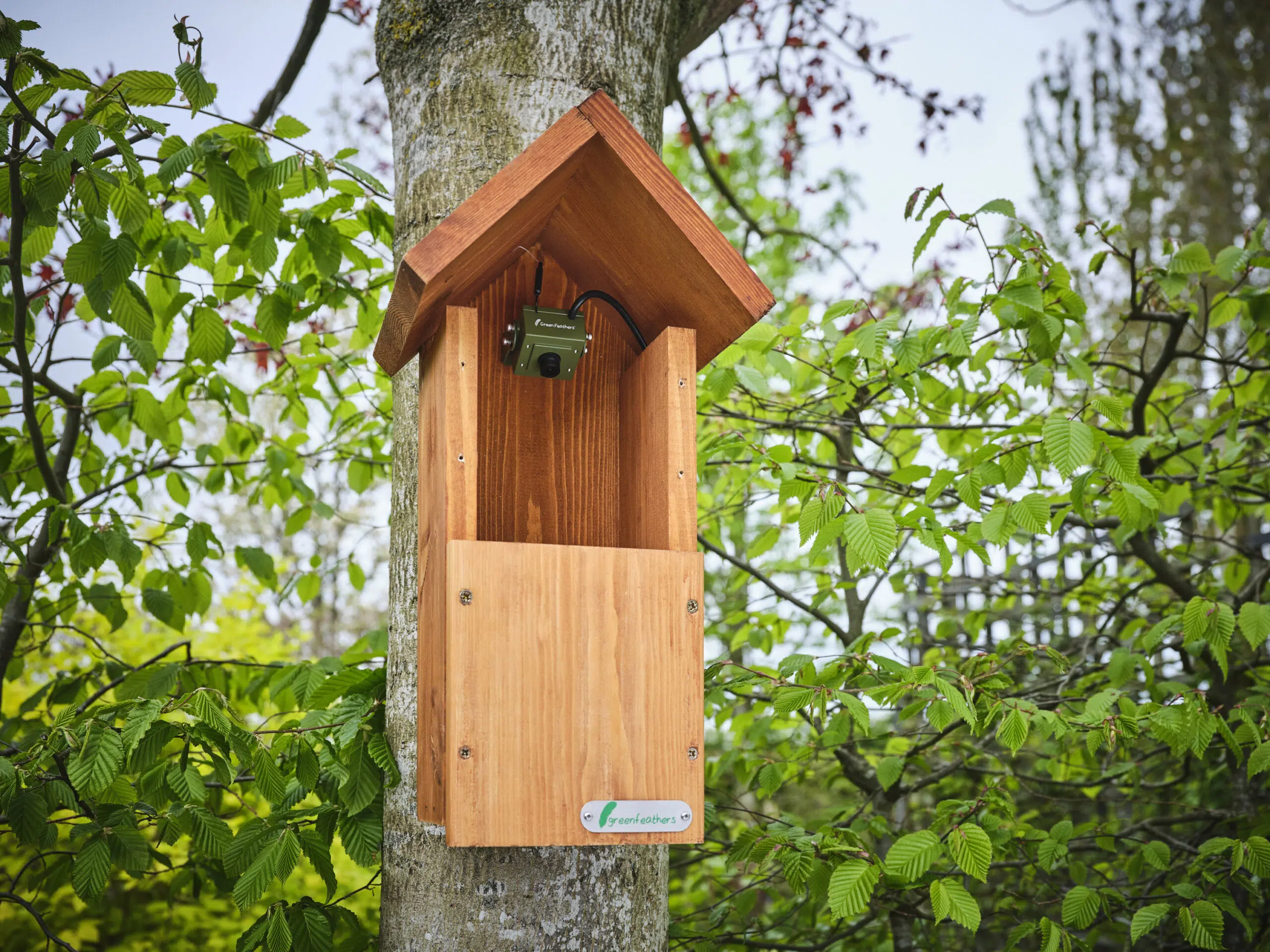 Green Feathers HD WiFi kamera til redekasser i mejsekasse