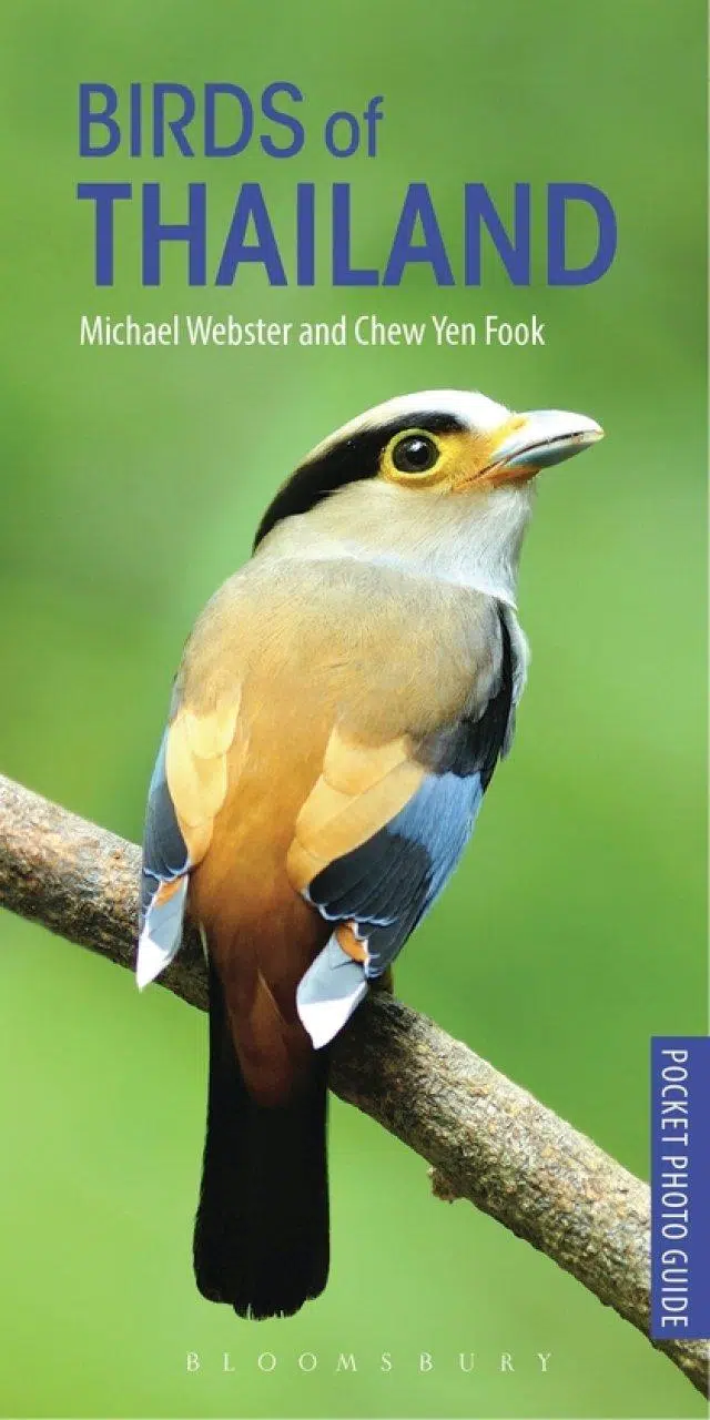 Birds of Thailand – a photografic guide