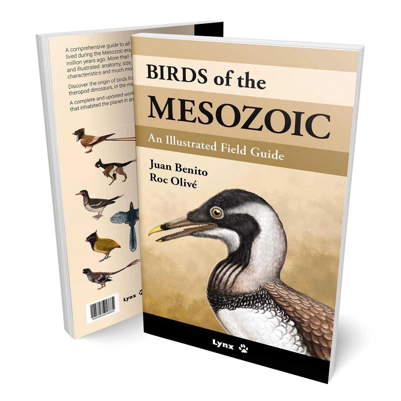 Birds of the Mesozoic