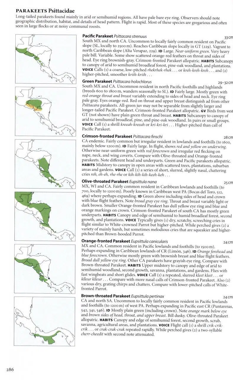 Birds of Central America