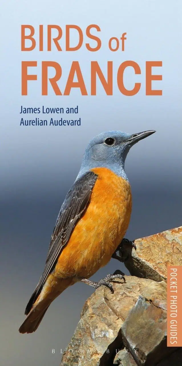 Birds of France – photographic pocket guide