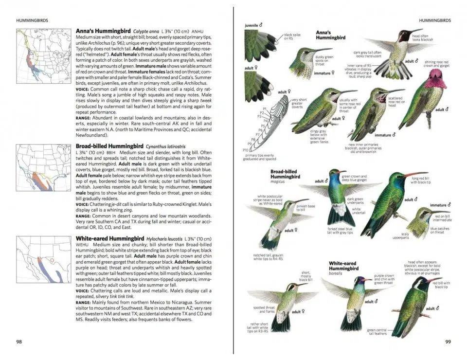 Field Guide to the Birds of North America