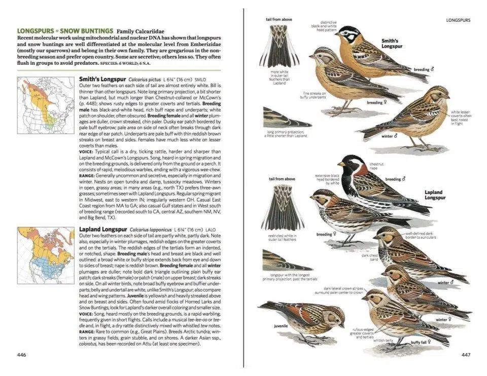 Field Guide to the Birds of North America