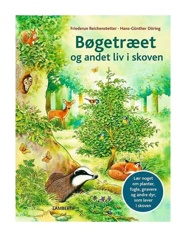 Bøgetræet og andet liv i skoven