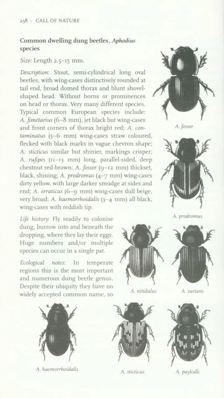 Call of Nature – The Secret life of Dung