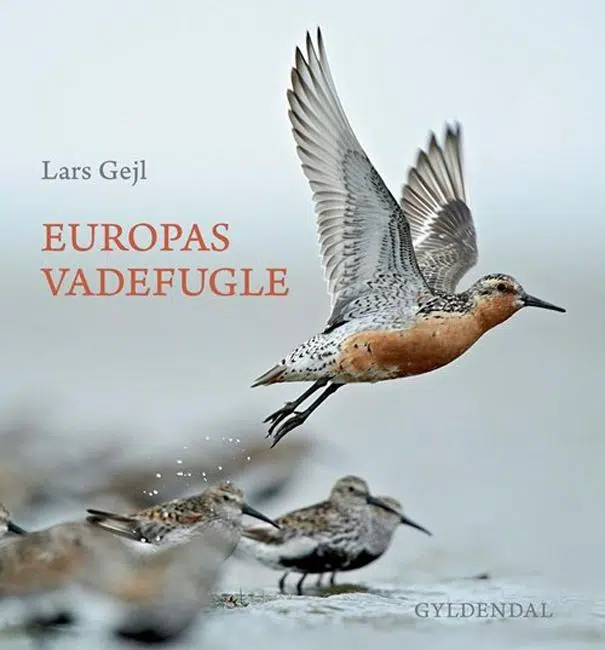 Europas Vadefugle – Lars Gejl