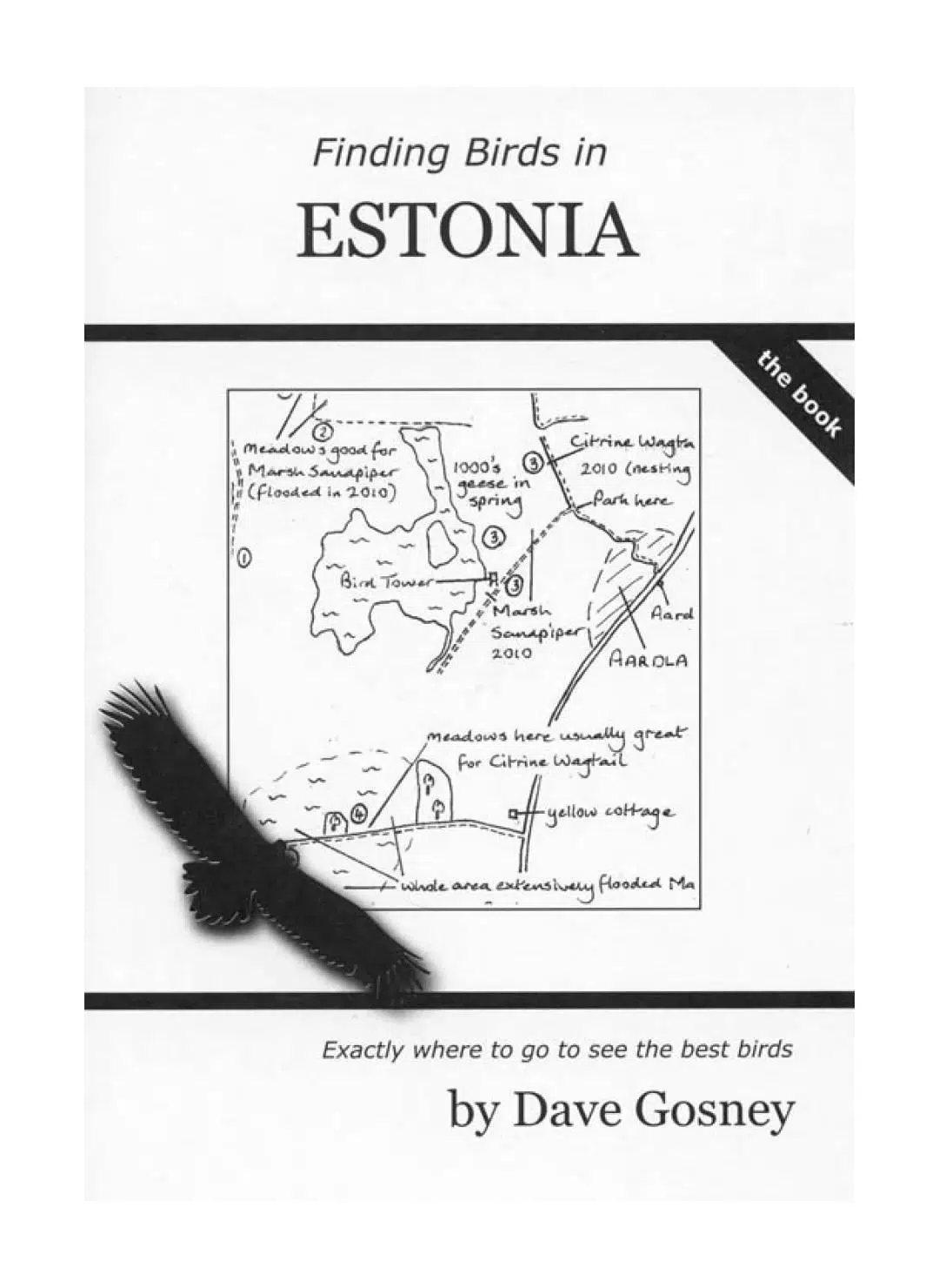 Finding Birds in Estonia – Rejseguide