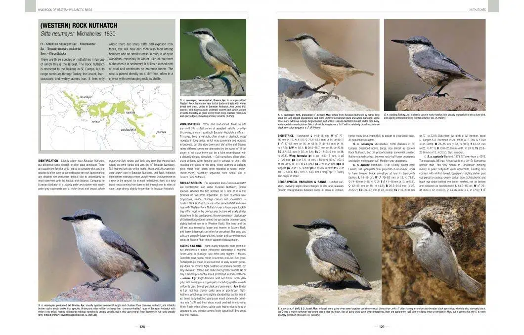 Handbook of Western Palearctic Birds: Passerines – 2 bindsværk – Hadoram Shirihai & Lars Svensson