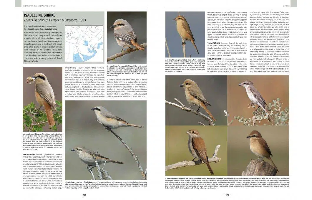 Handbook of Western Palearctic Birds: Passerines – 2 bindsværk – Hadoram Shirihai & Lars Svensson