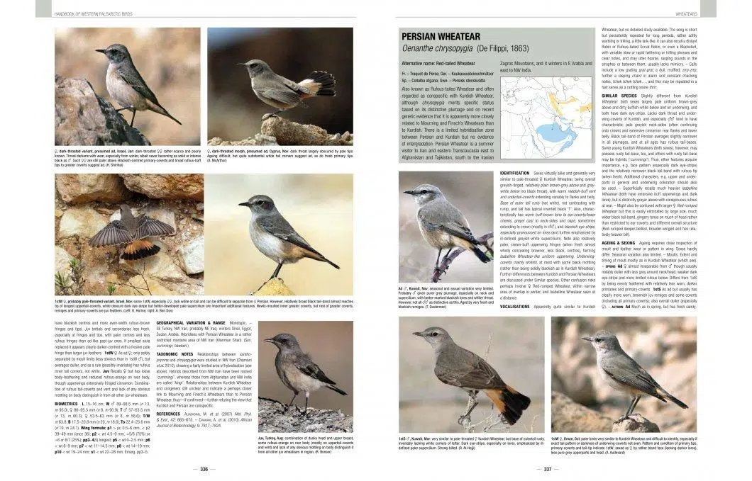 Handbook of Western Palearctic Birds: Passerines – 2 bindsværk – Hadoram Shirihai & Lars Svensson