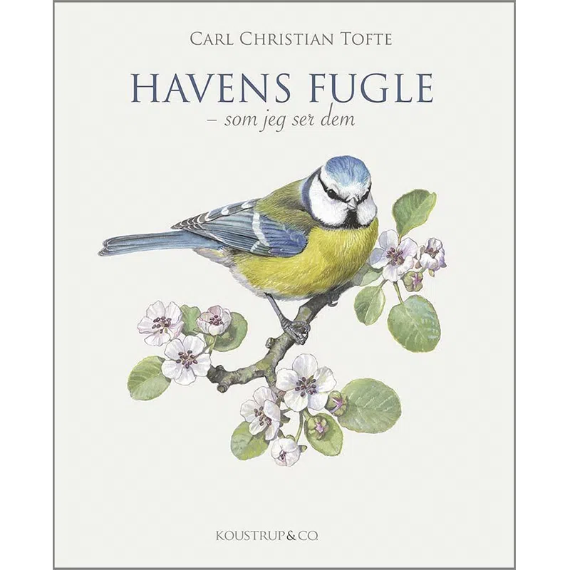 Havens Fugle – Koustrup og Co