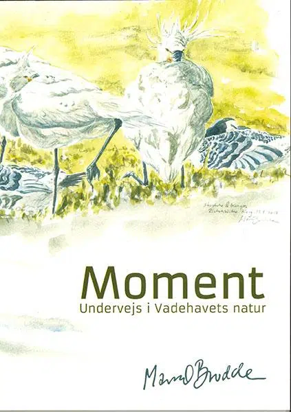 Moment – Undervejs i Vadehavets natur