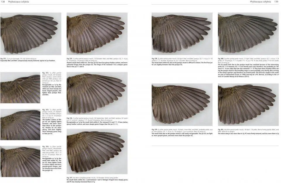 Moult and Ageing of European Passerines – Second Edition