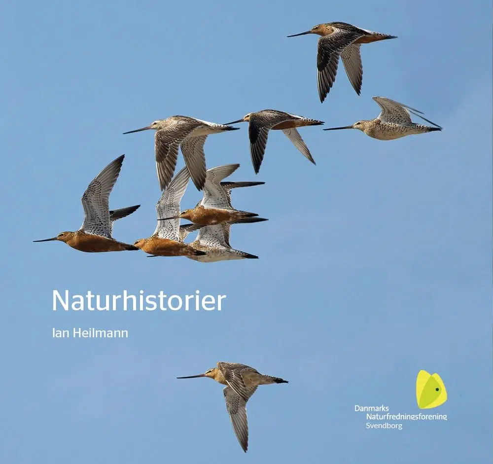 Naturhistorier