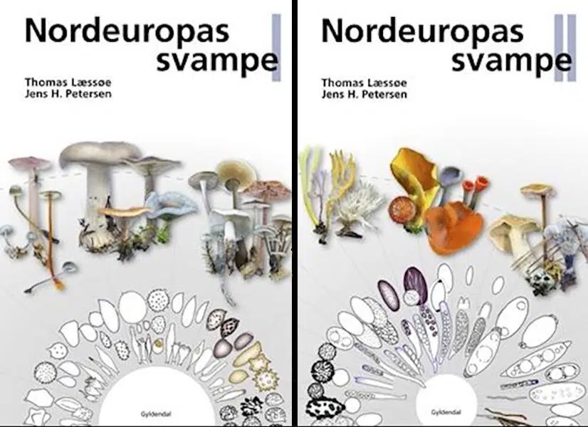 Nordeuropas Svampe – Thomas Læssøe & Jens H. Petersen