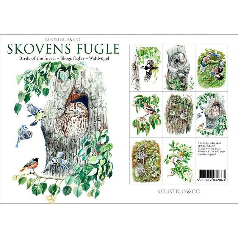 Postkort – Skovens fugle