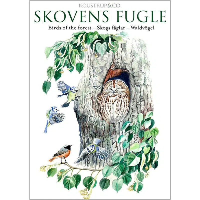 Postkort – Skovens fugle