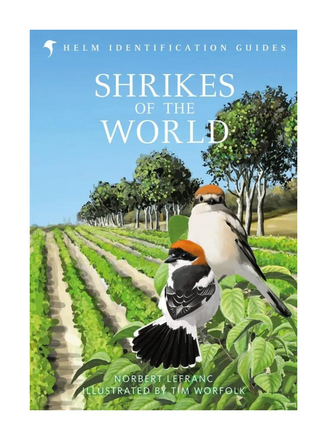 Shrikes of The World