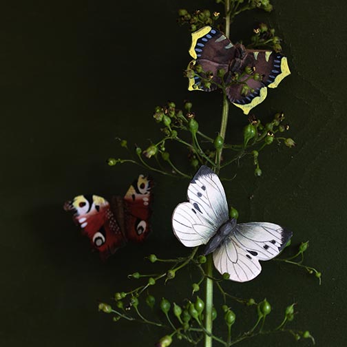 Wildlife Garden sommerfugle magneter