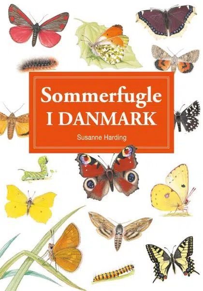 Sommerfugle i Danmark