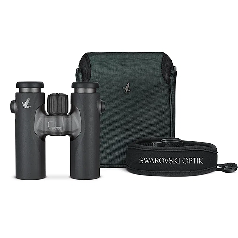 Swarovski CL Companion 8×30 anthracite kompakt kikkert