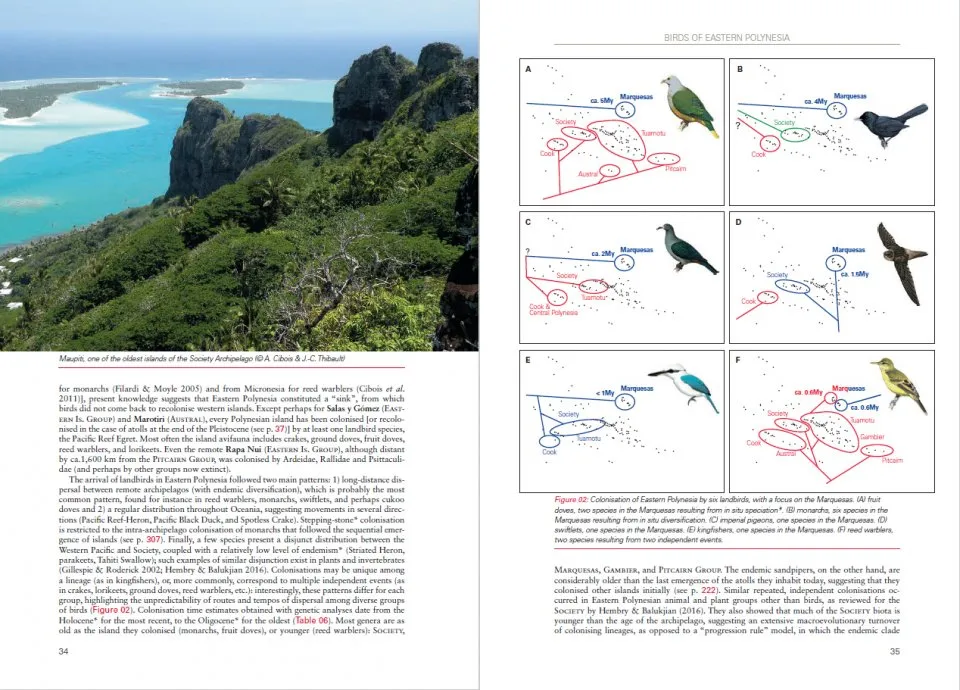 Opslag i Birds of Eastern Polynesia 2