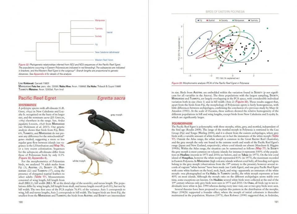 Opslag i Birds of Eastern Polynesia 1