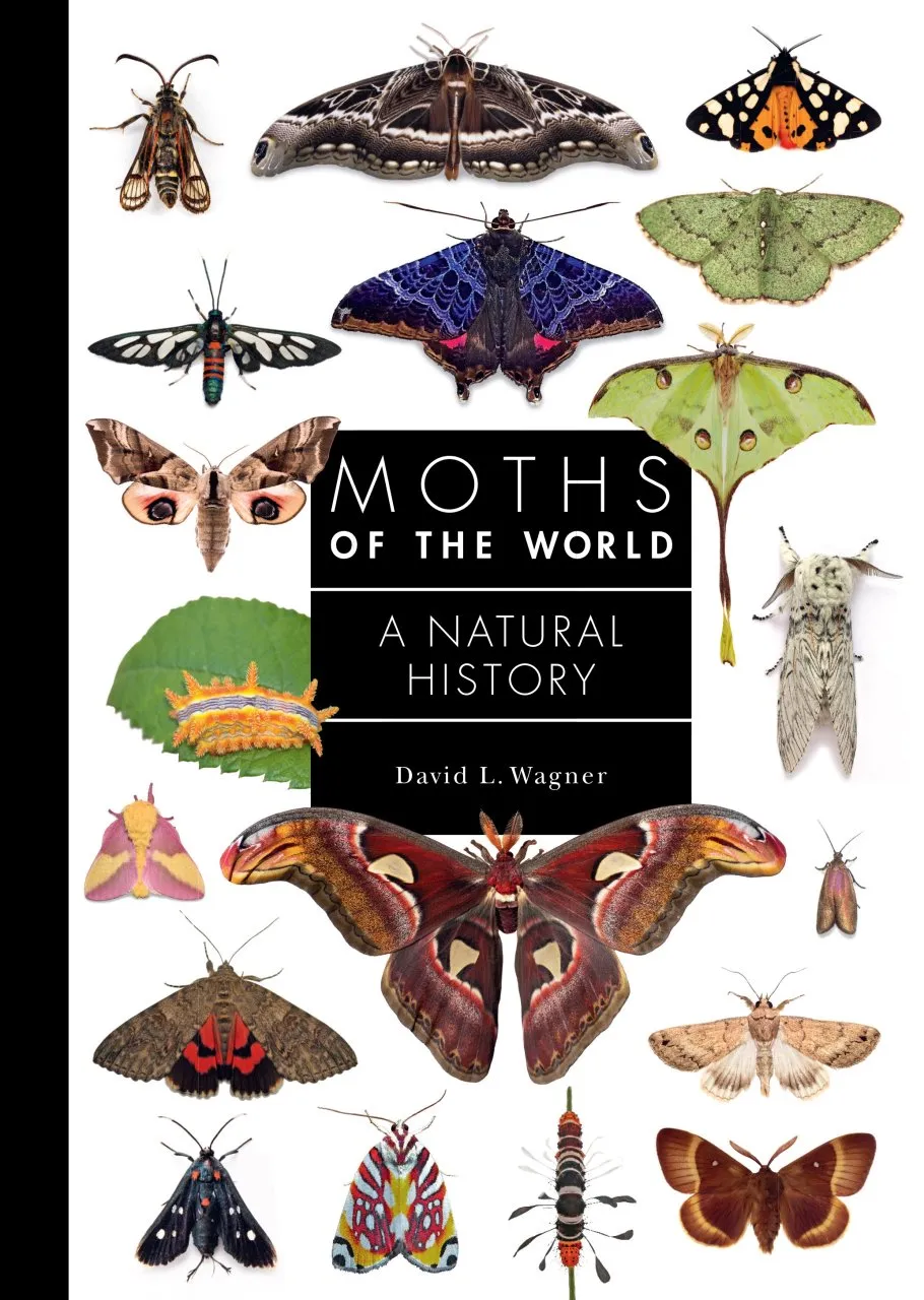 Moths of the world, bog om møl og natsværmere