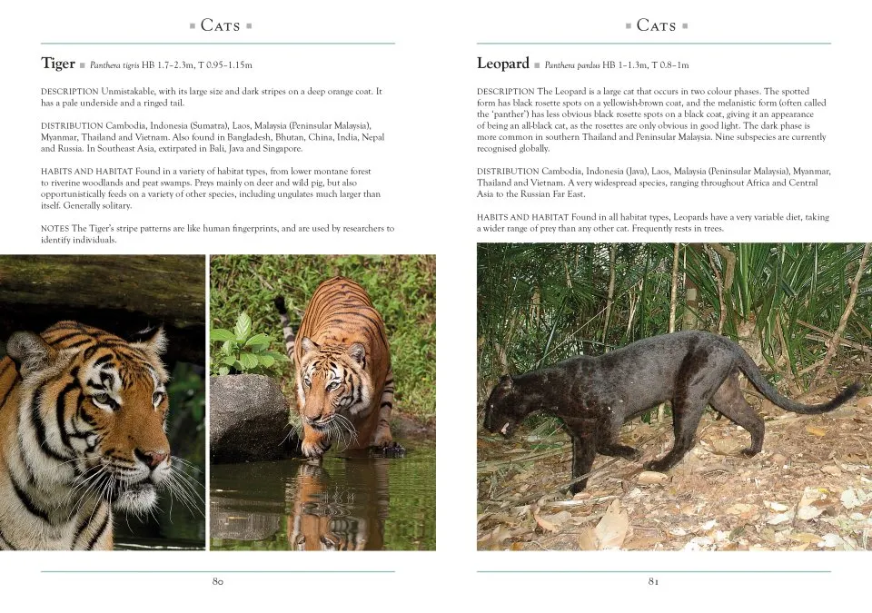 Eksempel på A Naturalist's Guide to the Mammals of Southeast Asia