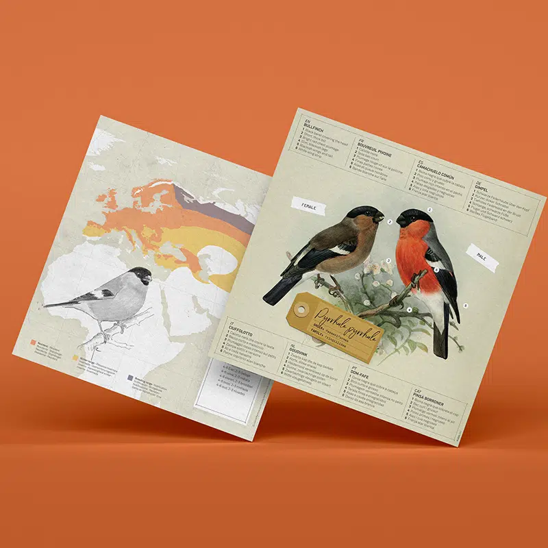 Fold-selv-dompap papirfugl