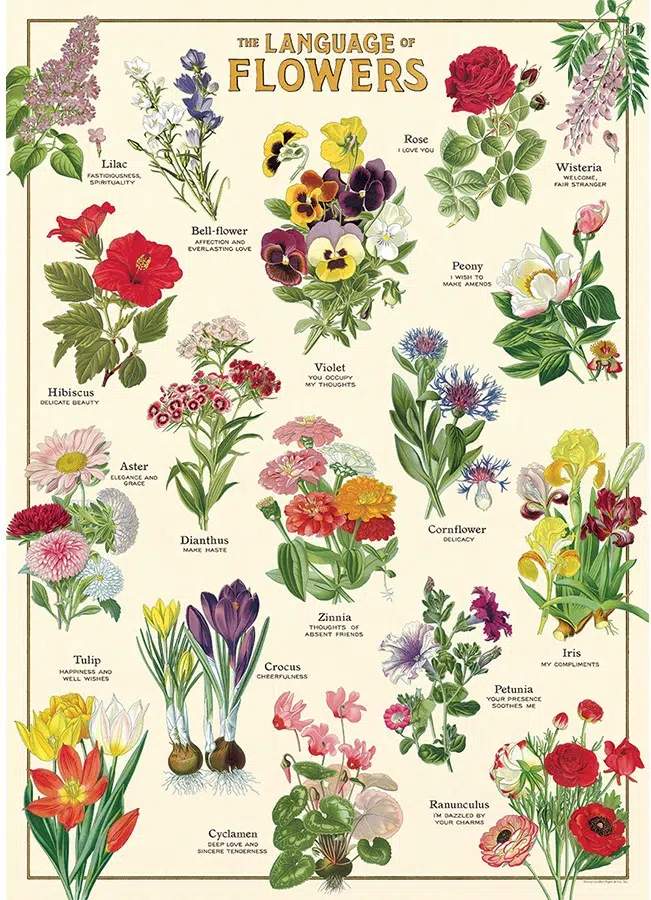 Language of flowers plakat - Cavallini & Co