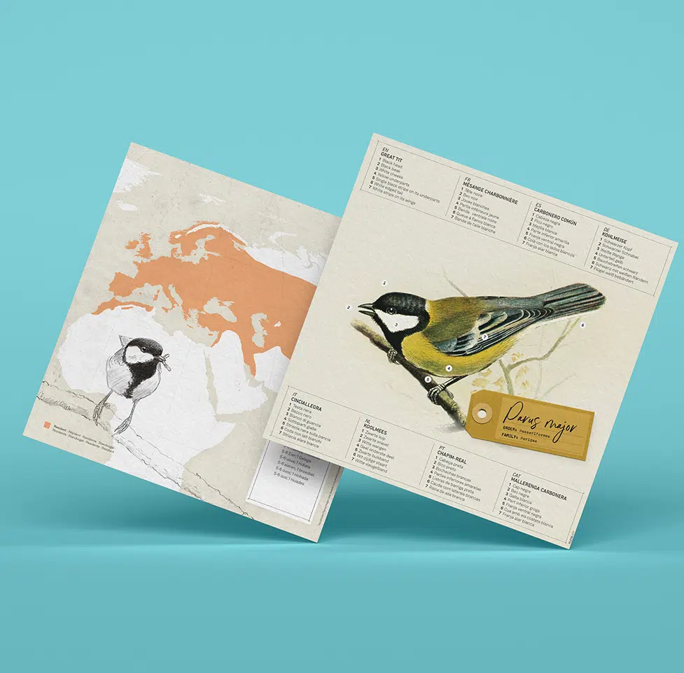 Fold-selv-musvit papirfugl