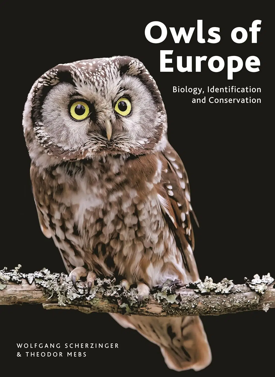 Forside til Owls of Europe