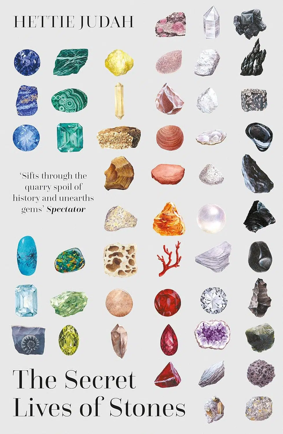 The Secret Lives of Stones : 'A real cabinet of curiosities forside