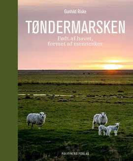 Tøndemarsken - bog