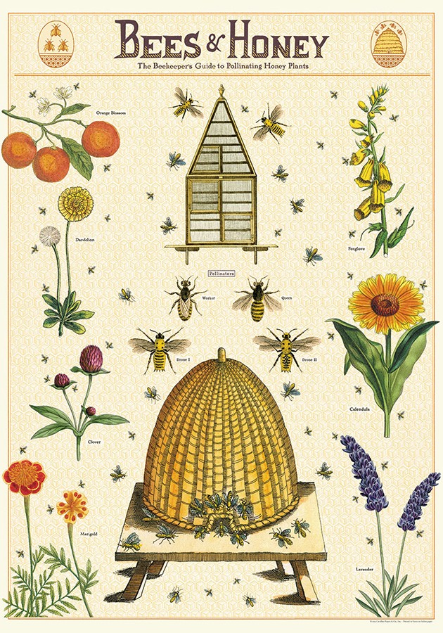 Bees & Honey plakat - Cavallini & Co